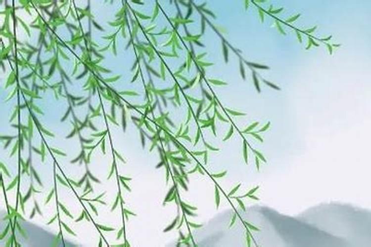 梦见好久不见的儿子预示着什么