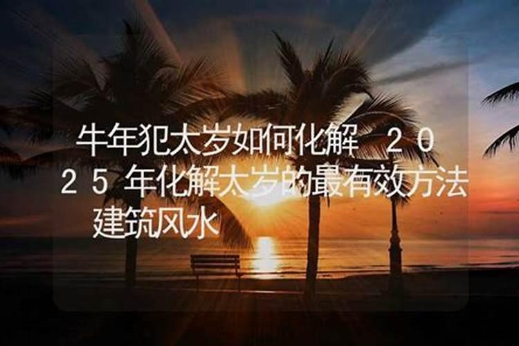 梦见鲸鱼追杀我
