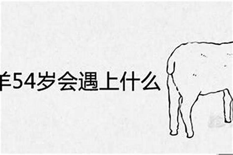1986年出生的人今年是多大？