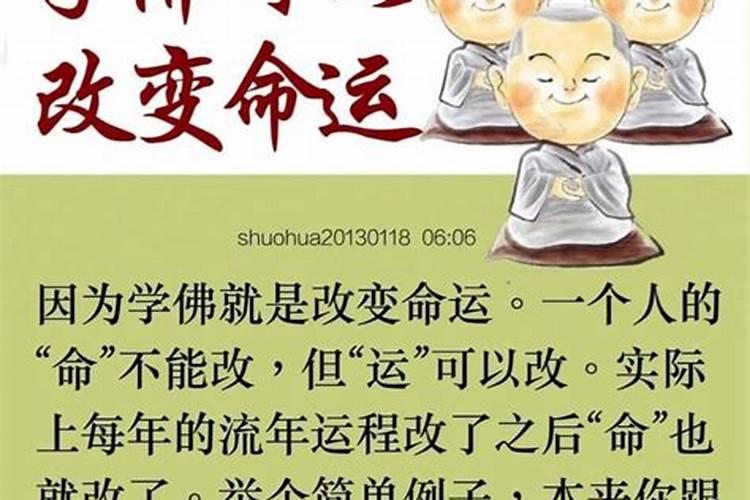属狗未来十年的运势
