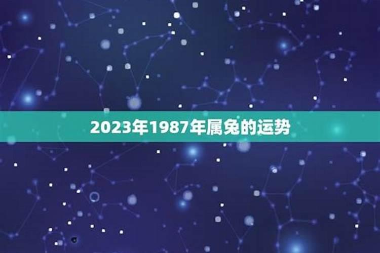 1953年属蛇人晚年好吗