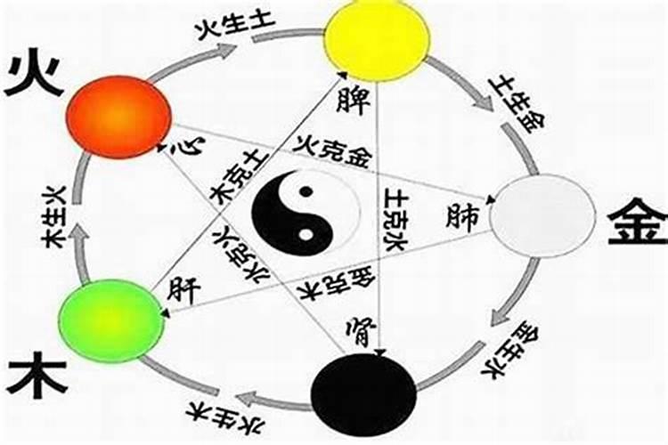 怎么算自己属于金木水火土哪一种命
