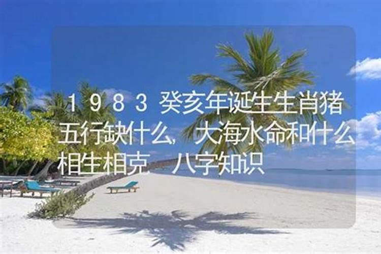 83年猪大海水命五行缺什么