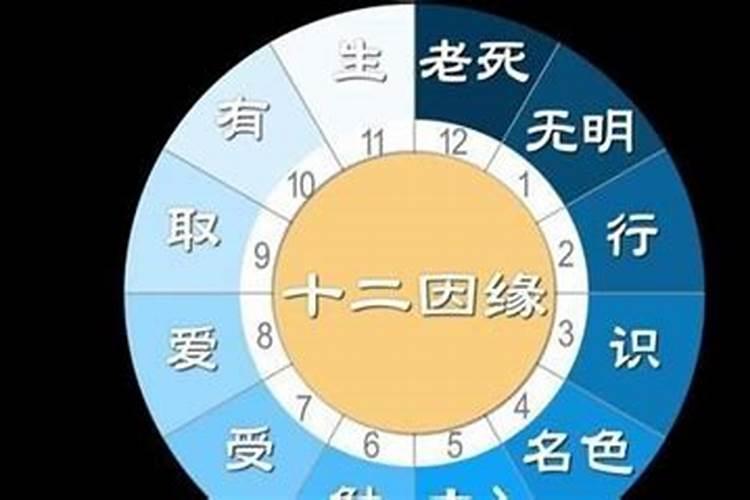 精神恍惚,记忆力差在佛经上讲是什么果报
