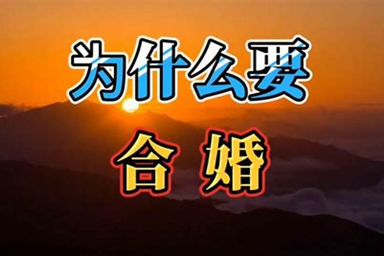 丁未年什么人最旺