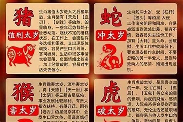 屋里可以放哪些植物招财 在屋里放什么植物招财