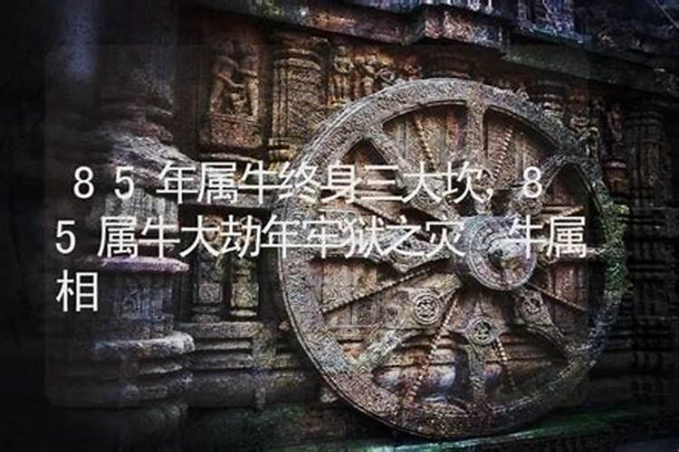 2025属牛的几月有一难