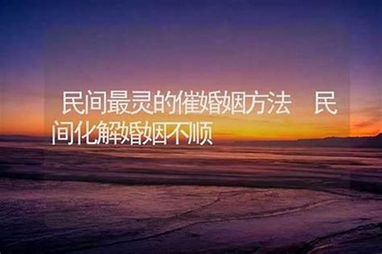 不同年份属猪人重阳节九月九出生命运如何？