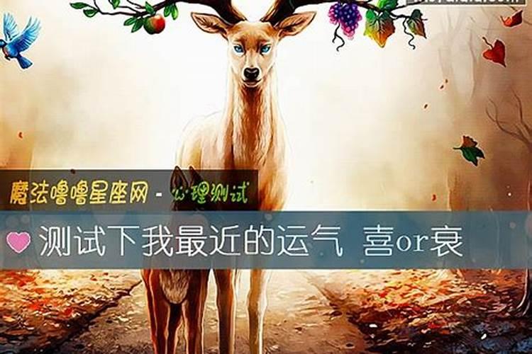 测测我今年的运气测自己最近的运气