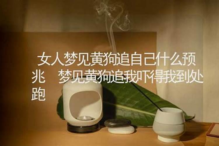 梦见女人追着本人的预兆