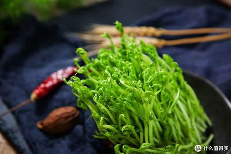 立春时节有吃什么风俗