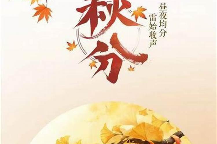 在过春节的时候你和家人都做了些什么