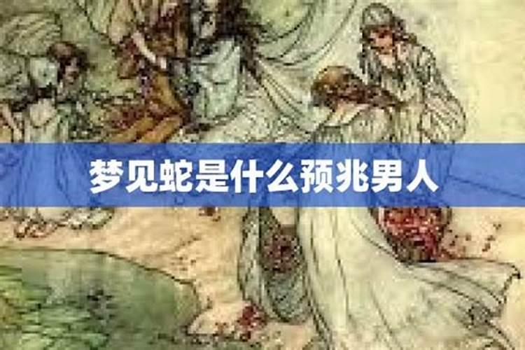结婚当天遇见蛇是好还是坏 男人梦到蛇预示着什么