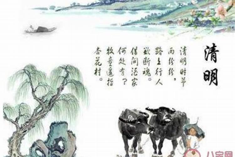 1984农历二月十三是什么星座