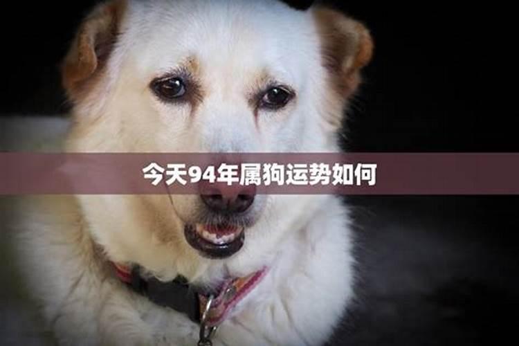 梦见洪水把房子淹了的预兆