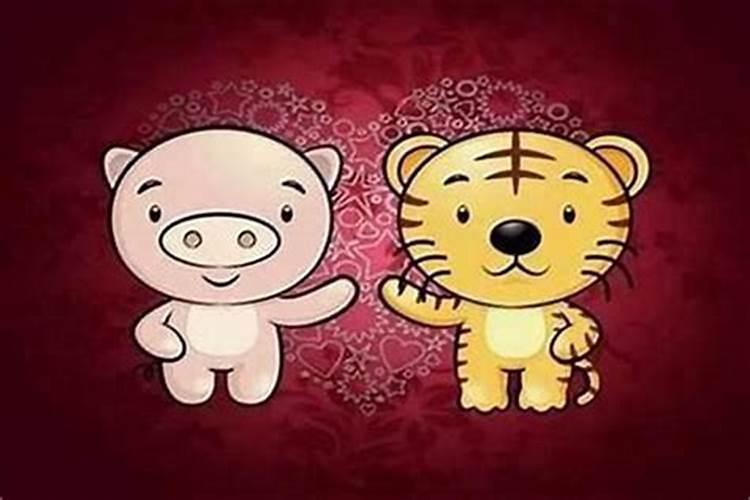 属虎和属龙的相配吗