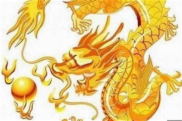 龙虎属相结婚怎么样
