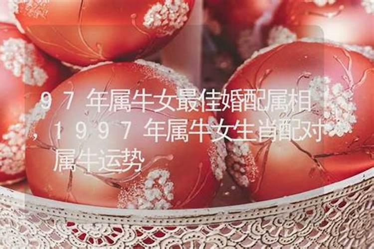 97年牛女婚姻运势 1997年属牛的人婚姻运程