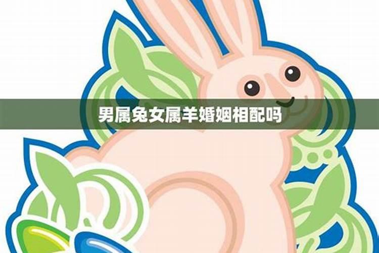男兔女羊婚姻相配好吗