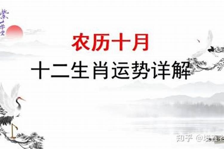 农历10月出生属鼠人命好吗