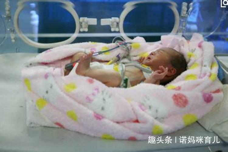 清明节的由来是怎样的？有什么传统的习俗么？