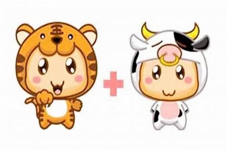 属牛的和属虎的婚姻怎么样 牛和虎能做夫妻吗？