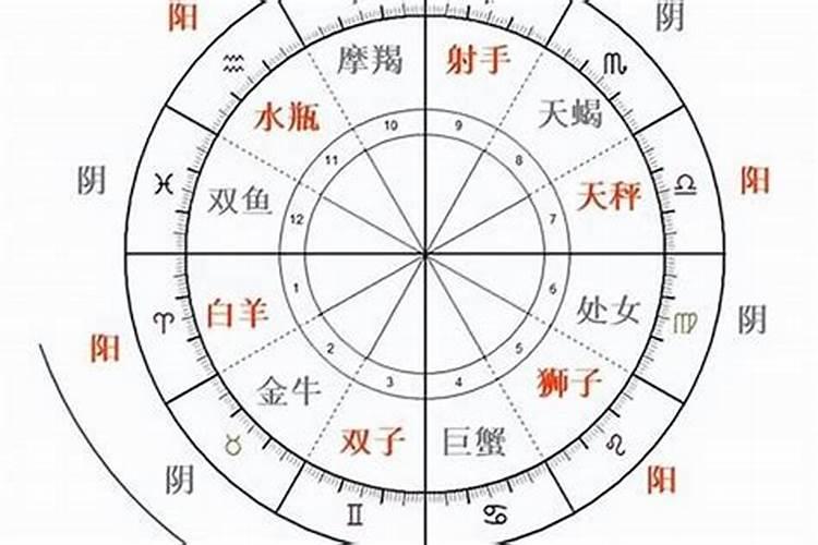 抖音很火的浇水发芽的木头叫什么上面还有一个小人？