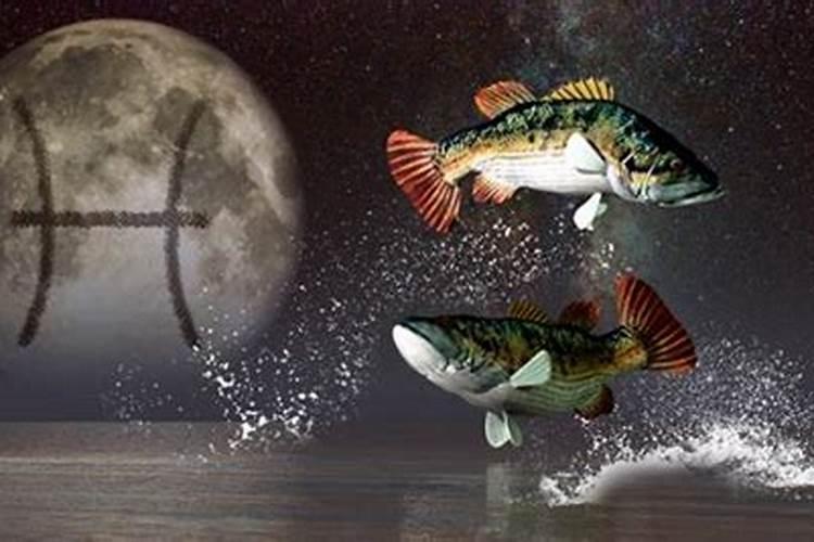 双鱼和天蝎哪个智商高情商与智商的对比