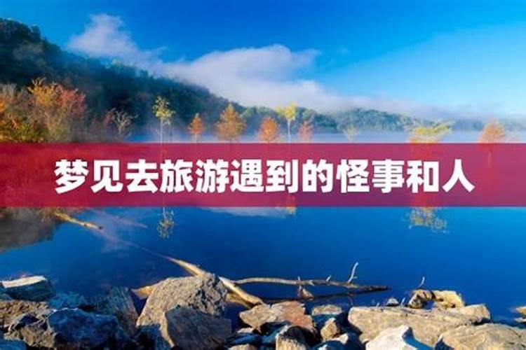 2024年属猴冲太岁买车还是楼好 运势解析