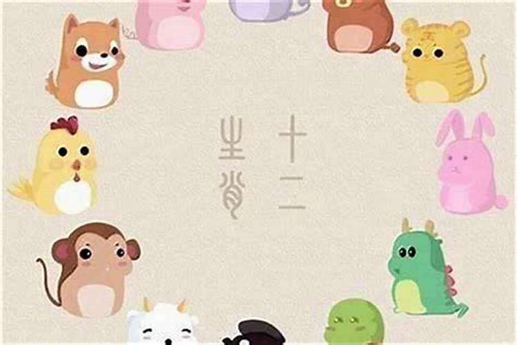 富贵竹养多少根最旺学业运,什么风水最旺学业