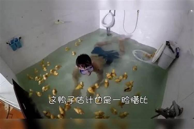 八字星运是什么意思