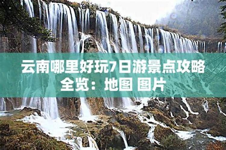 摸奶节是几月几号？