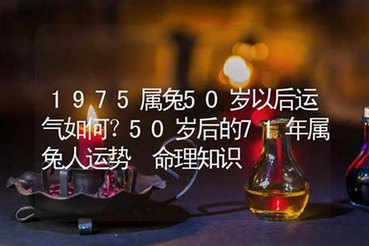 1975属兔2025年50岁以后运气