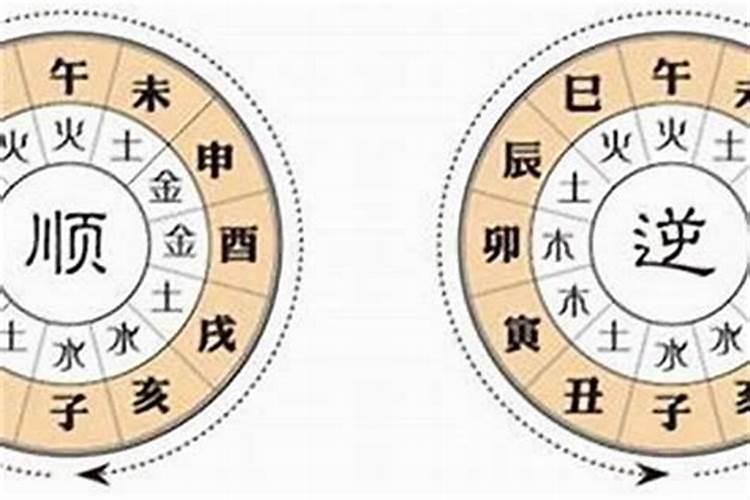 1951年属兔人2024年命运如何