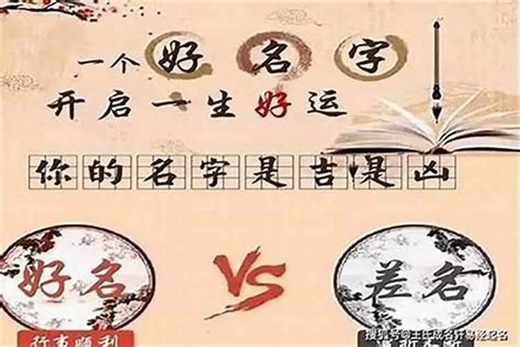 1951年属兔人2024年运势及运程详解