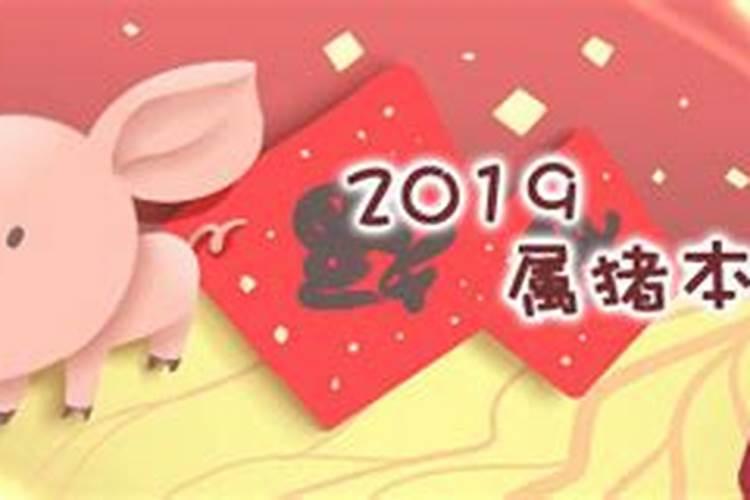 猪犯太岁的年份