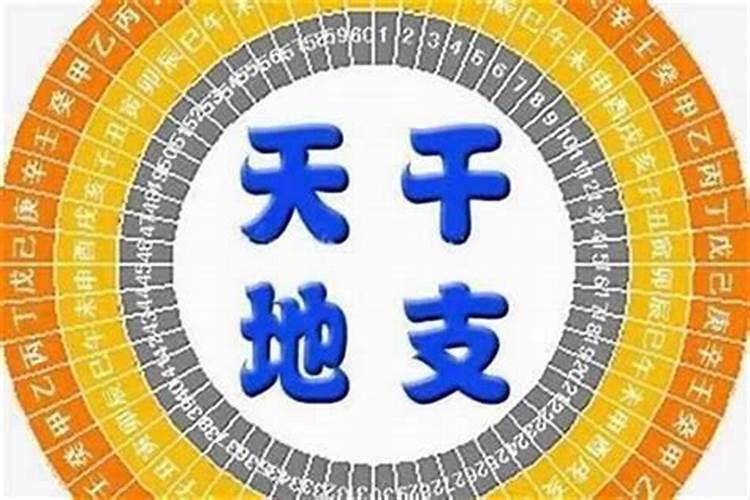 梦见烤红薯有什么寓意
