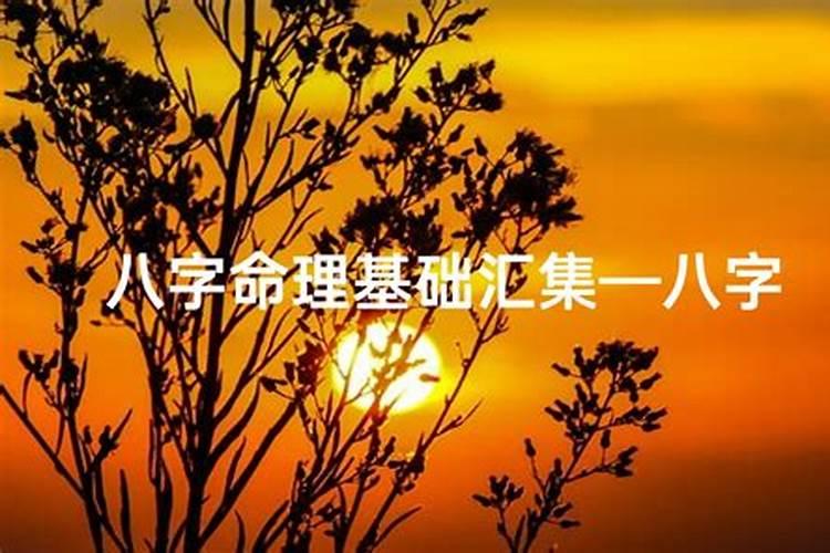 四柱八字婚姻案例,八字甲己合的女人实例