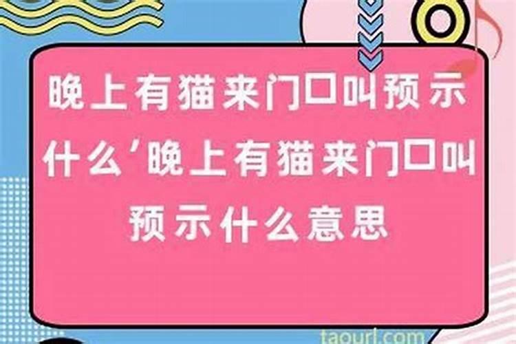 家里摆放老虎好不好？