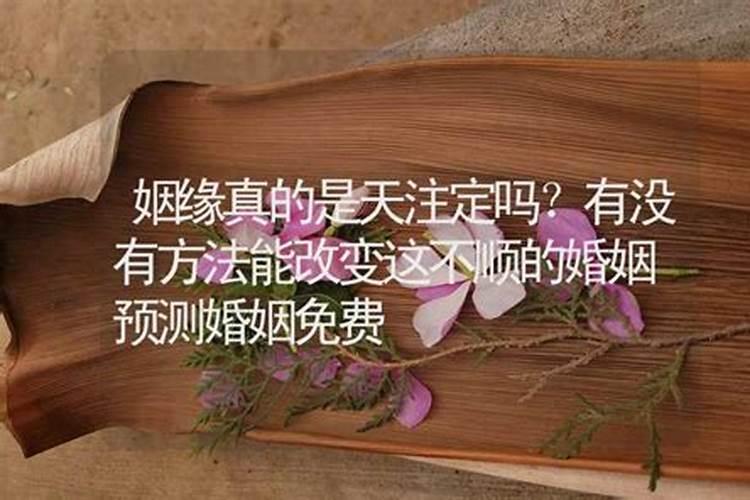 姻缘正缘算命