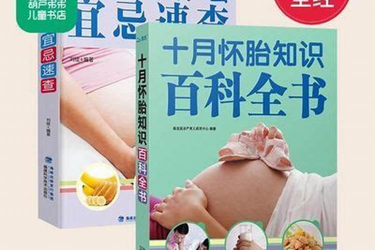 信佛可以学易经吗