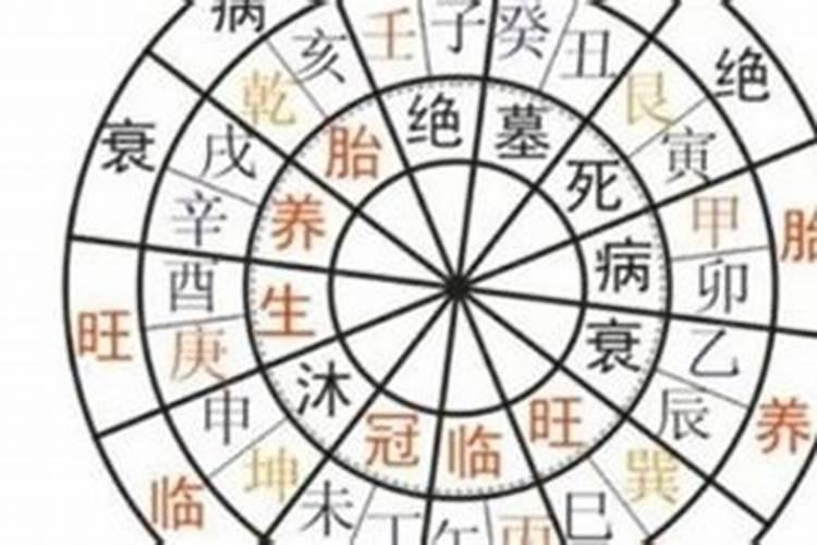 小学读后感