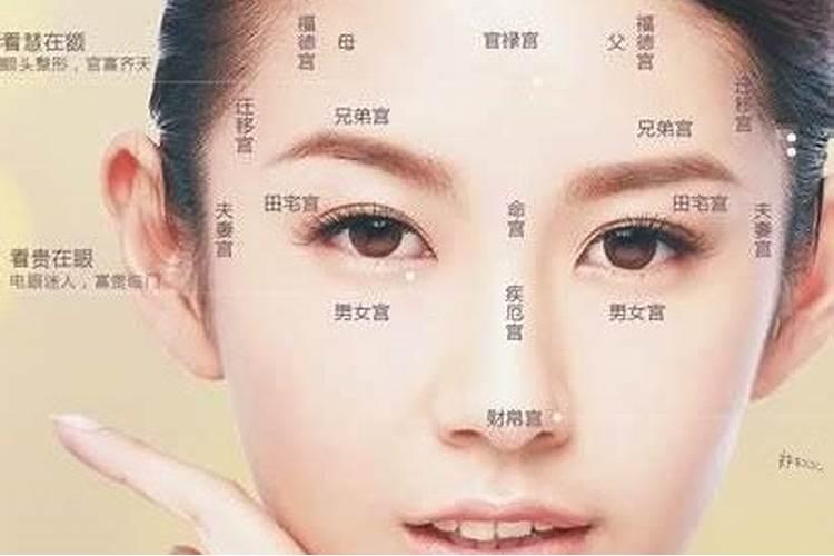 属兔的和什么属相最配属兔女应该选择哪个生肖男