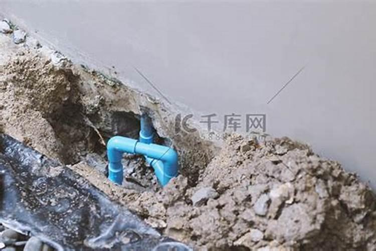 宜宾冬至吃什么