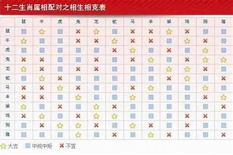 属虎男最佳婚配属相