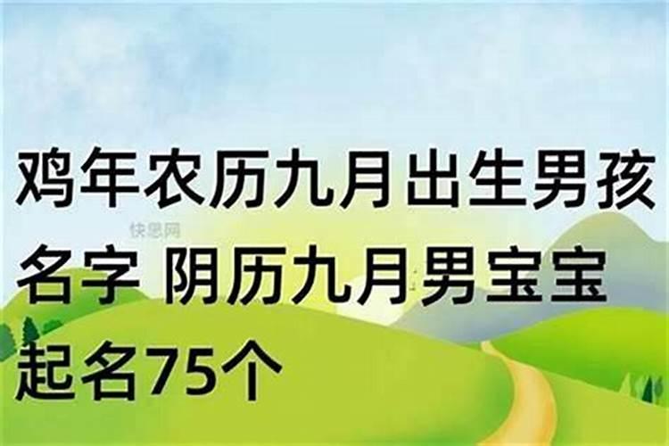 谁知道怎么把太岁符叠成三角形的样子？
