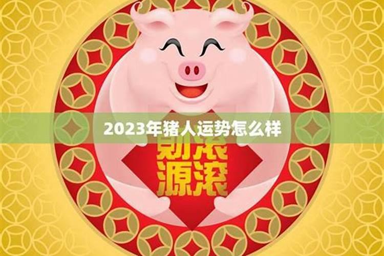 生肖猪2025年每月运势