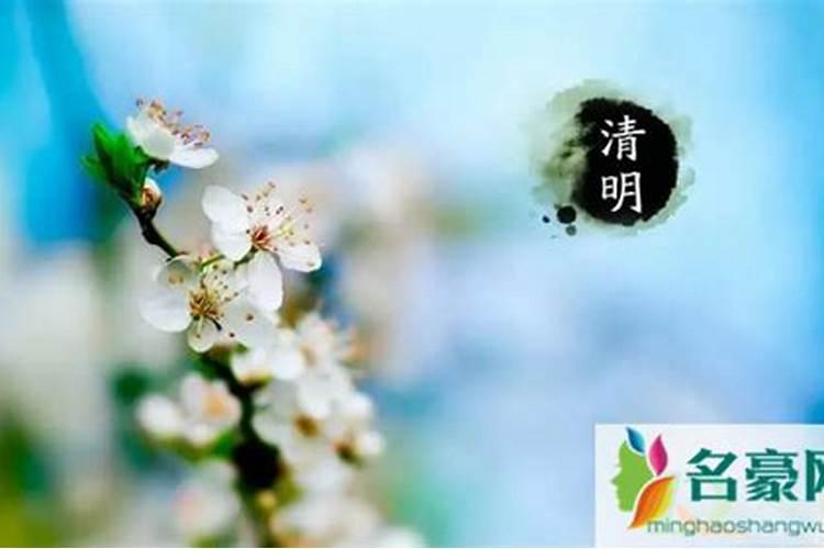 1990年属马的人一生命运如何(1990年是苦命马还是富马)