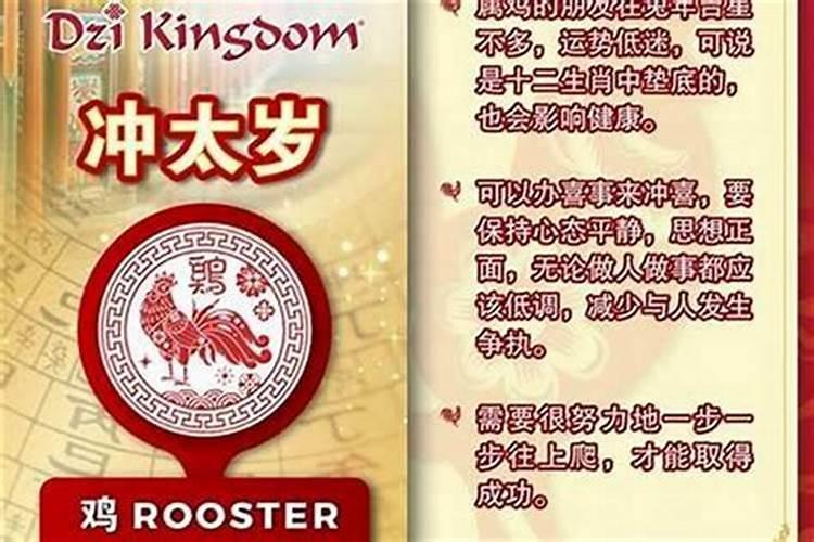 能帮预测属鼠的人、五月出生、今年升学运气咋样？