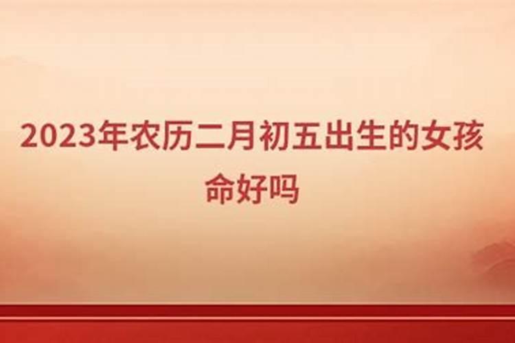 二月二出生的男孩怎么样？